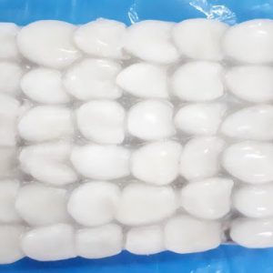 Alternative view of Cuttlefish