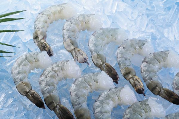 Vannamei Shrimp