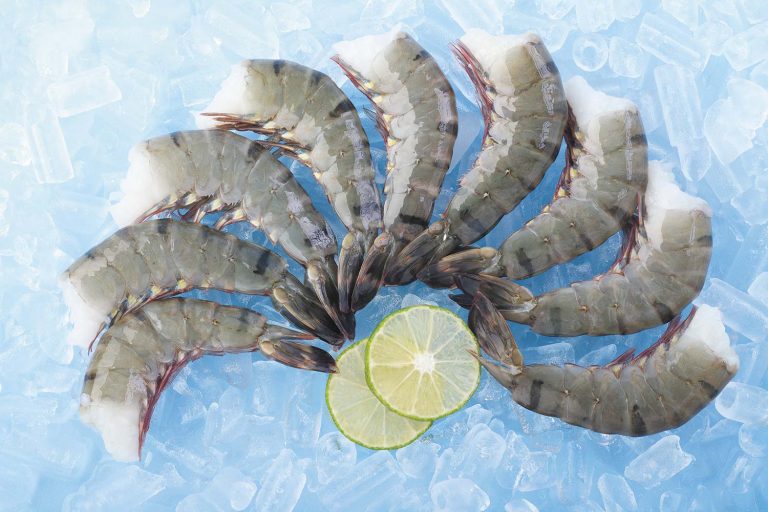 Black Tiger Shrimp - An Phat Ca Mau Seafood Co., Ltd