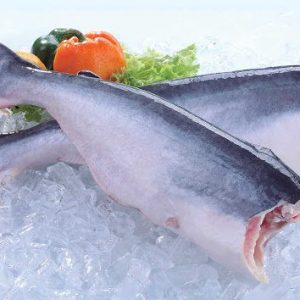 Alternative view of Pangasius