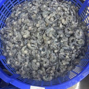 Alternative view of IQF Frozen PD Black Tiger Shrimp